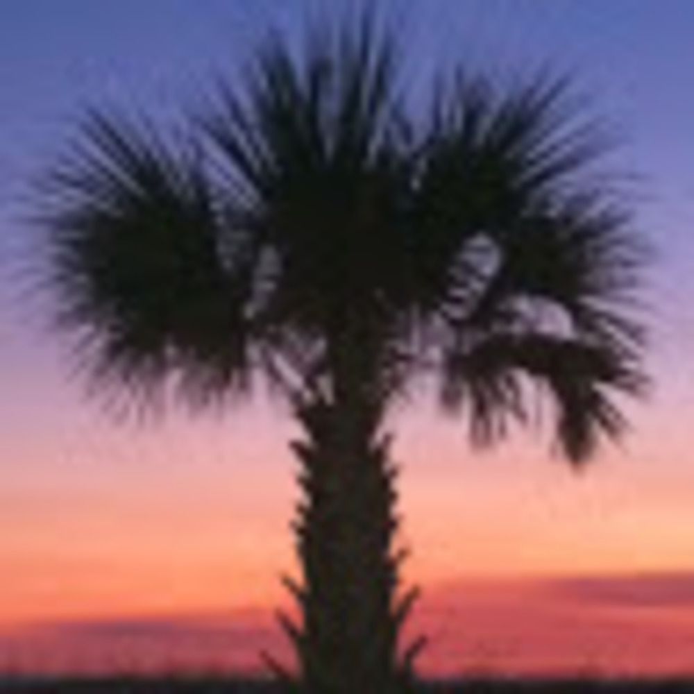 Meet your Posher, Christie